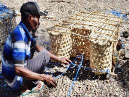 Alat tangkap ikan atau alat penagkap ikan adalah segala alat yang dapat digunakan dalan usaha penagkapan ikan. Bubu Alat Tangkap Ikan Tradisional Ramah Lingkungan Yang Digunakan Kembali Di Flores Timur Mongabay Co Id
