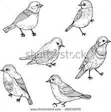 Colour Bird On Tree Drawing Line Drawing Bird Vector Google Search Bird Line Drawing Bird Drawings Bird Embroidery Pattern