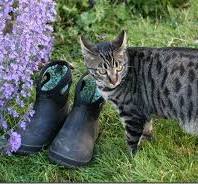 Bogs Gardening Shoes: Waterproof and Stink-Free ⋆ North ...