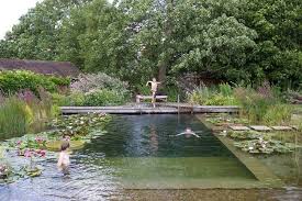 Schwimmteich In Grossbritannien Unter Trauerweide Schwimmteich Naturschwimmbecken Schwimmbad Designs