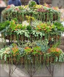 Create a window box filled with succulents, accent rocks and mosses. Tips For Succulent Gardening In Window Boxes Hooks Lattice Blog
