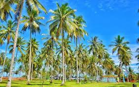 Wahana surya adalah salah satu tempat pariwisata yang berada dibengkulu lebih tepat nya di bengkulu tengah dan juga berdampingan dengan wis. Keliling Wahana Surya Bengkulu