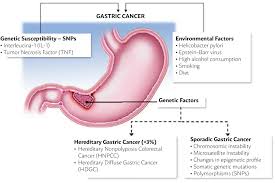 Read about stomach cancer symptoms, causes, stages, gastric cancer statistics, diagnosis, surgery, other treatment types and risk factors, like h what are signs and symptoms of stomach cancer? Scielo Brasil Risk Factors Associated With The Development Of Gastric Cancer Case Control Study Risk Factors Associated With The Development Of Gastric Cancer Case Control Study