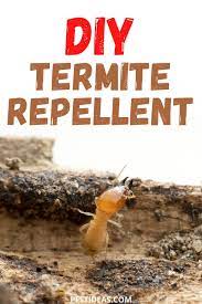 Diy Termite Repellent Termite Repellent Termites Diy Pest Control
