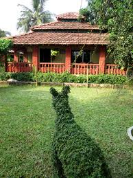 We did not find results for: Bawali Farmhouse Nomadic Weekends