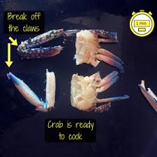 Take a look at this easy way to clean and cook blue crabs! How To Clean Crab The Take It Easy Chef