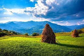 Authentic, natural and cultural are the words that best capture the essence of romania, a dynamic country rich in history, arts and scenic beauty. 35 Reasons Why You Shouldn T Visit Romania Daily Travel Pill