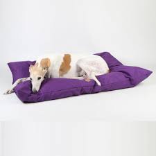 Dog bed covers are external covers that may or may not be waterproof or absorbent. Deep Cushion Waterproof Dog Bed Ginger Ted Ltd