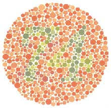 What Is Color Blindness
