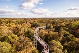 Einen ausflug wert ist er natürlich trotzdem, denn neben dem wer mit dem auto kommt, der wird zur kasse gebeten. Der Baumkronenpfad Baum Und Zeit