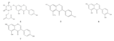 Image result for Eriosema montanum