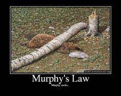 23 Murphy S Law Ideas Murphy Law Law Murphy