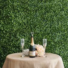 We did not find results for: Balsacircle 4 Large Green Boxwood Leaves Wall Backdrop 11 Sq Ft Uv Protected Panels Background Wedding Party Photo Booth Artificial Greenery Background Walmart Com Walmart Com