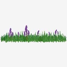 One of the best known purple flowers, lavender is actually a genus of nearly 50 different related flowers. Purple Flower Meadow Illustration Flower Grass Green Png Transparent Clipart Image And Psd File For Free Download