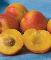Pin On Fruity