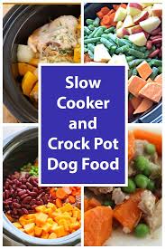 10 Slow Cooker And Crock Pot Dog Food Recipes Dog Food Recipes Crockpot Raw Dog Food Recipes Dog Food Recipes