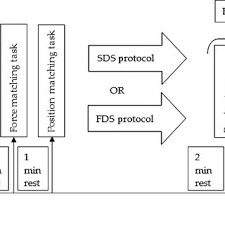 PDF) Dynamic stretching is not detrimental to neuromechanical and  sensorimotor performance of ankle plantarflexors