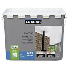 Peinture Blanche Plafond Plafond Tache Sali Luxens Mat 5 L Plafond Peinture Blanche Boiserie
