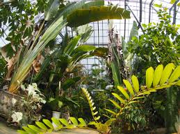 村田 永 楽園 大井 農場