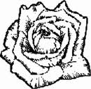 Abschiedstexte für Trauerschleifen - "Blütenmelodie" Floristikstudio Fröse