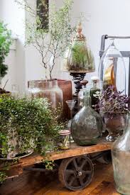 Indoor Garden Factory Cart Cloches Plants Jardin Interieur Decoration Plante Carrelage Terasse Exterieur