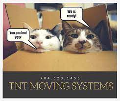 Select the 'get quotes' button to fill out a quote form. T N T Moving Systems Charlotte S Best Moving Company How To Keep Your Pets Safe Healthy Happy During A Move T N T Moving Systems Charlotte S Best Moving Company