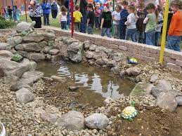 Here is the outdoor turtle pond hubby made for our turtles. Outdoor Learning Station Aquatic Turtle Habitat Awf