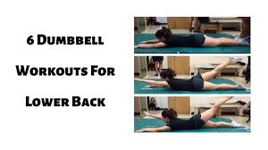 Aim to do this lower back workout twice a week. 6 Dumbbell Workouts For Lower Back Thefitnessphantom