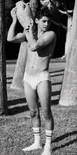 Nude Male Celebs - hunk - Gay-Male-Celebs.com