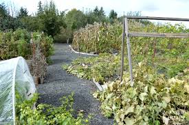 Fall And Winter Garden Yard Prep Printable Checklist An Oregon Cottage