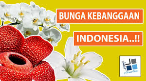 Bunga kebangsaan malaysia dan maksudnya; 3 Bunga Nasional Indonesia Youtube