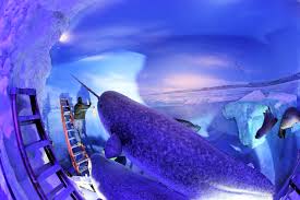 Very knowledgeable and helpful staff who really enjoy. Artists At Work Bass Pro Museum Springfield Mo By Richardphotos Photography Alternative