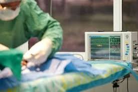 Our veterinarians are available overnight on weekdays from 5:30 p.m. 24 Hour Emergency Vet Cleveland Oh West Park Animal Hospital