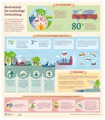 pin auf environment authentic resources german italian portuguese