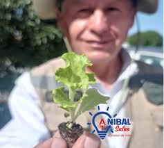 Anibal Salas alcalde ASA 2022