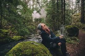Image result for smoking and the environment facts