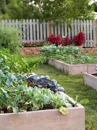 Grow A Vegetable Garden In Raised Beds Fall Garden Vegetables Raised Garden Vegetable Garden Raised Beds
