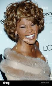 Clive davis whitney houston hi-res stock photography and images