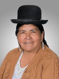 Archivo:Celia Nancy Rivera Mamani. Official portrait, 2020. Chamber of  Deputies of Bolivia.jpg