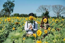Free wifi access is available in public areas. 3 Objek Wisata Malang Dengan Tema Kebun Bunga