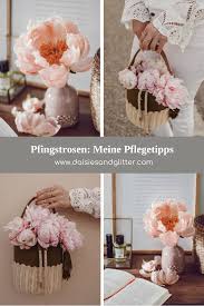 Pfingstrosen bezaubern mit wunderschönen, duftenden blüten. Pfingstrosen In Der Vase Meine Pflegetipps Fur Langere Haltbarkeit Daisiesandglitter