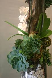 Orchid With Succulents And Driftwood 045 Orchids Orchids Garden Diy Plants Decor