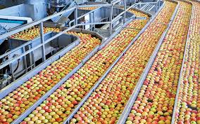 To revisit this article, visit my profile, then view saved stories. Vog Products Where Sustainability Is Embraced At The Highest Level Fruit Processing Magazine