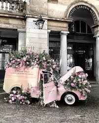 Pin By Traci Gesell On Pretty In Pink Beautiful Flowers Flowers Photography Trendy Flowers