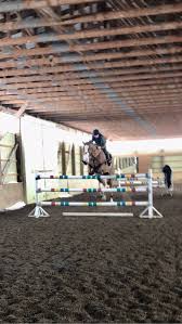 How An $80 Plough Horse Became A Legend In American Equestrian Circles |  Daily Telegraph
