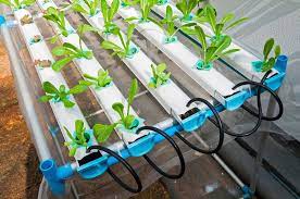 What Is The Nutrient Film Technique Nft Definition From Maximum Yield