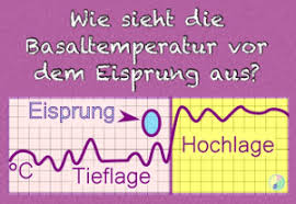 Steigt die temperatur vielleicht bei künstlichen hormonen gar nicht an? Basaltemperatur Vor Dem Eisprung Wie Sieht Sie Aus