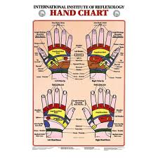 Reflexology Of The Foot Chart Rx1000 Anatomystuff