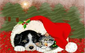 Check out our kittens and puppies selection for the very best in unique or custom, handmade pieces from our children's books shops. Christmas Pupies And Kittens Wallpapers Wallpaper Cave