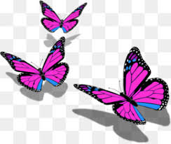 Aesthetic, butterfly, blue butterfly, monarch butterfly, monarch, blue monarch butterfly, cute butterfly, butterflies. Butterfly Pink Purple Violet Clip Art
